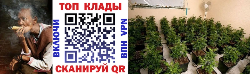 Купить наркотики цена Димитровград МАРИХУАНА  Альфа ПВП  ГАШ  Амфетамин  МЕФ 
