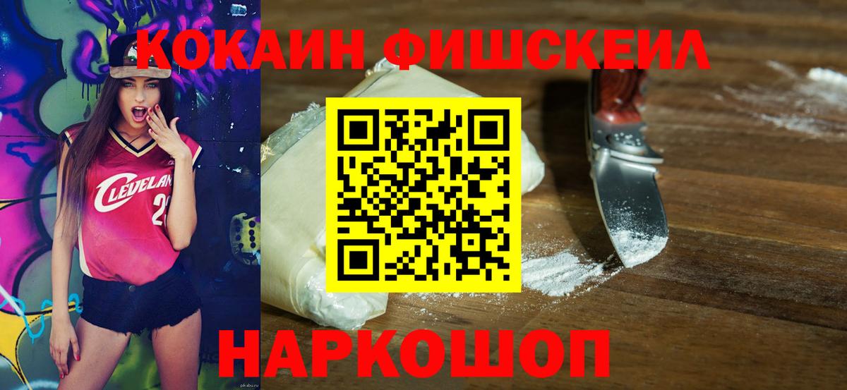 Димитровград  Cocaine Fish Scale  COCAIN  Вход с VPN 
