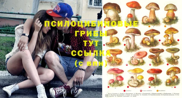 стаф Лиски