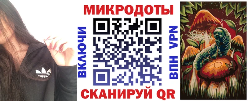 купить наркотик  blacksprut маркетплейс  Псилоцибиновые грибы прущие грибы  Димитровград 