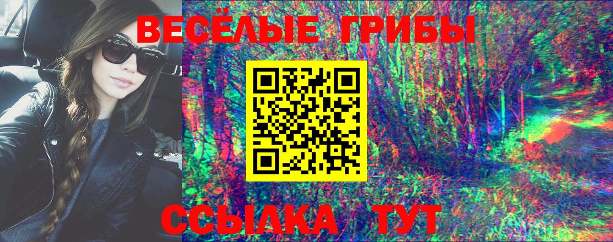 Псилоцибиновые грибы мицелий Димитровград