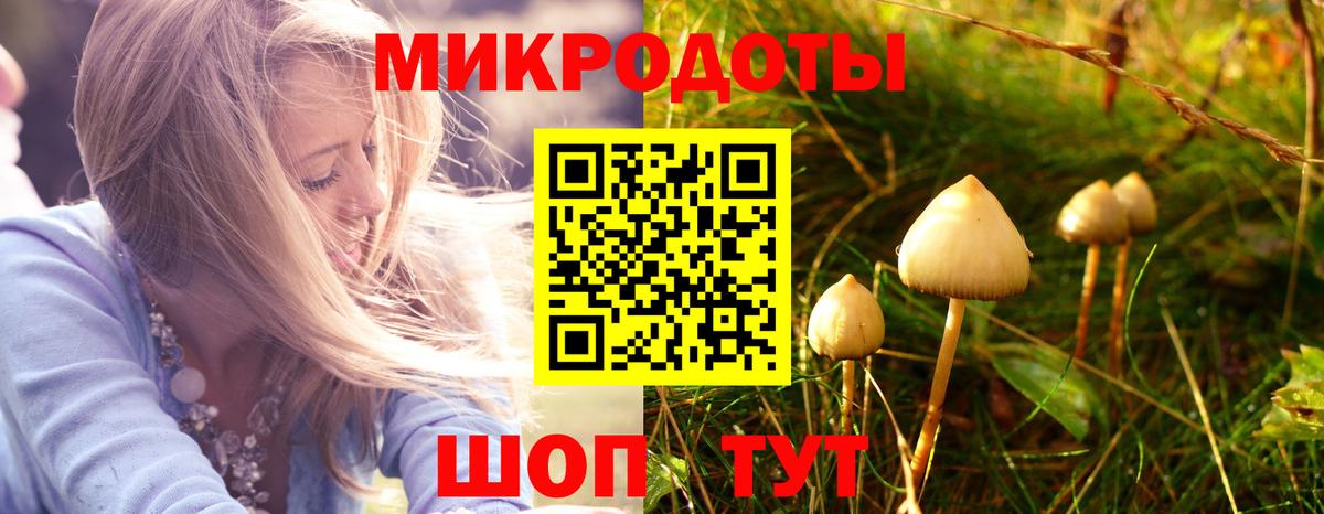 Галлюциногенные грибы Magic Shrooms  Вход с VPN  Димитровград 